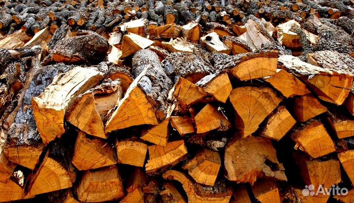 Дрова сухостой