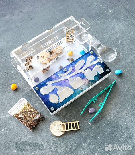 Муравьиная ферма новая