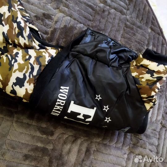 Одежда для маленьких собак зима