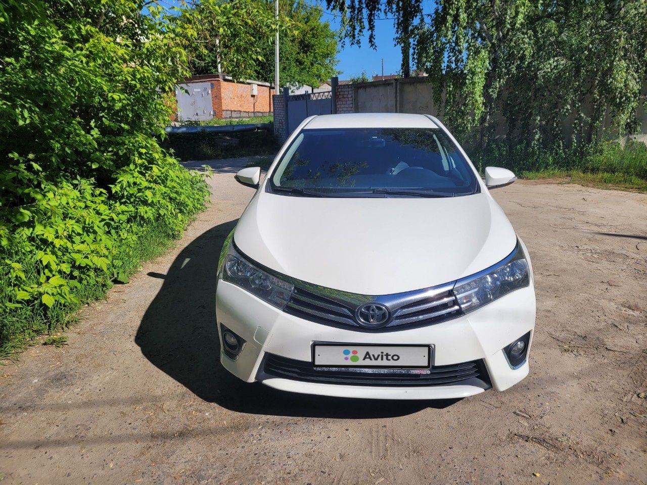 Toyota Corolla: фото владельца