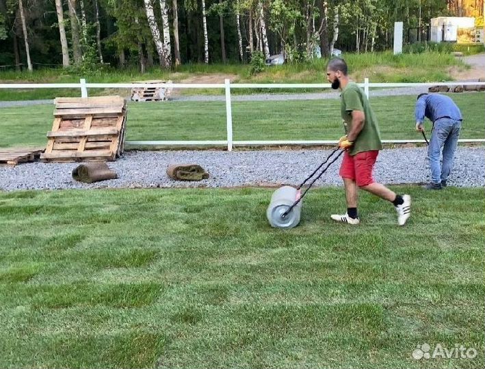 Лучший газон