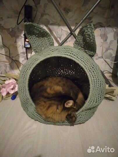 Домики для кошек