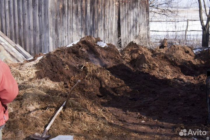 Чернозем, перегной с доставкой