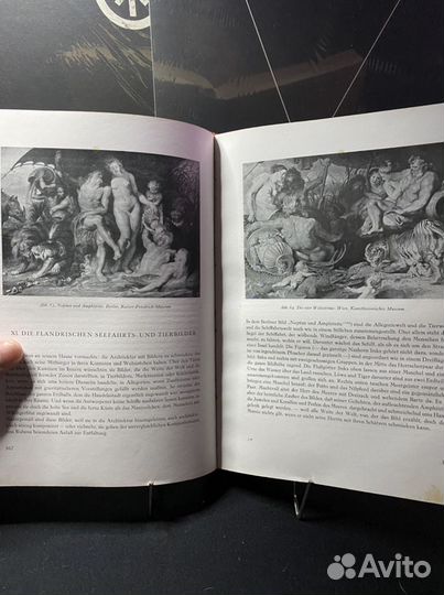 Книга Рубенс
