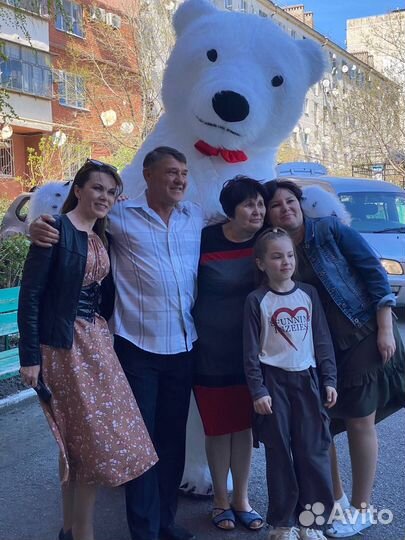 Белый Мишка /Панда / Чебурашка Поздравление