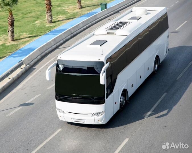 Водитель автобуса категории д