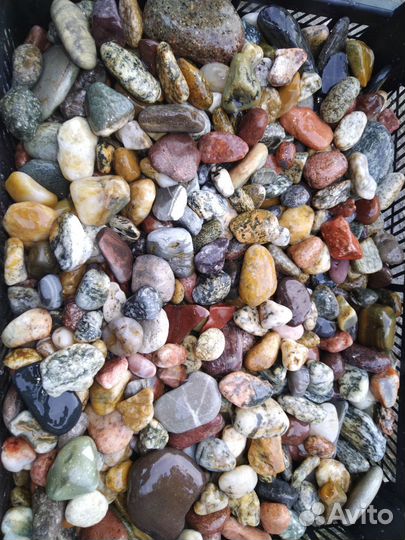 Морские камни