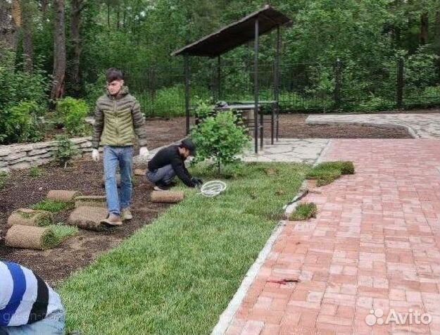 Натуральный рулонный газон