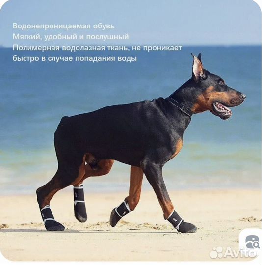 Обувь для средних собак