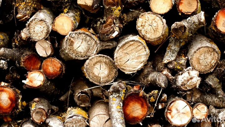 Дрова с пилорамы
