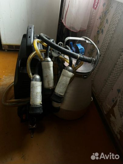 Доильный аппарат для коров