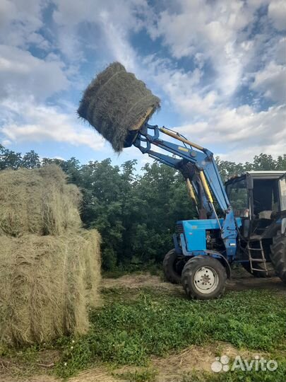 Трактор МТЗ (Беларус) 82.1, 2008