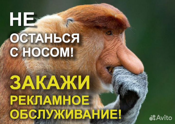 Интернет-маркетолог, директолог, дизайнер