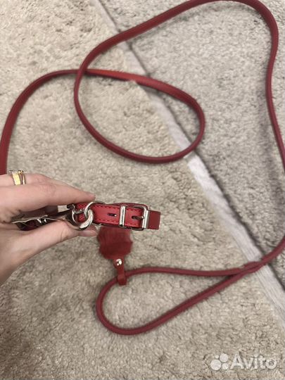 Поводок для собак