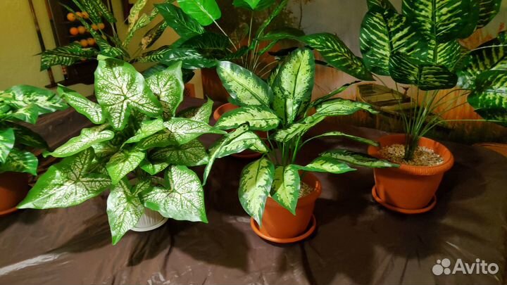 Искусственное дерево, пальма.,монстера,цветы