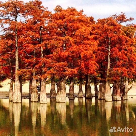 Экскурсии в Анапе