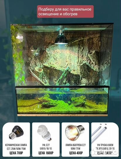 Террариумы для рептилий на заказ за 2 дня