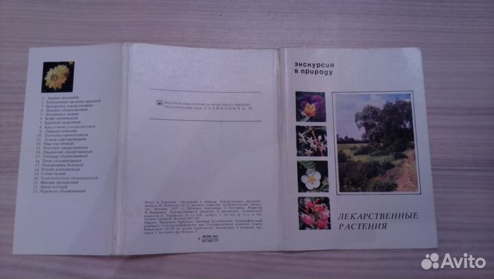 Набор открыток Лекарственные растения 1977 г