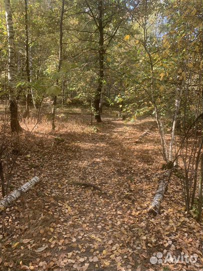 Земельные вопросы решаются здесь