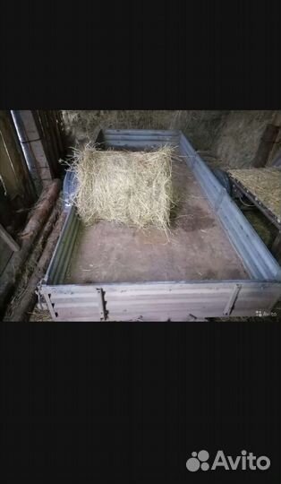 Сено в мини рулонах