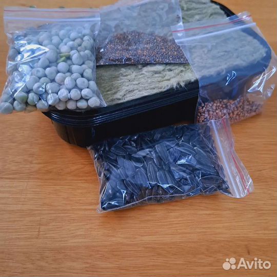 Набор для выращивания микрозелени