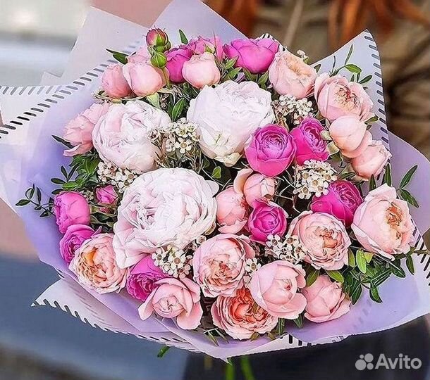 Пионы Цветы Доставка