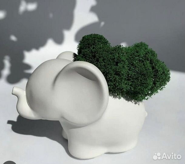 Кашпо слоник со мхом