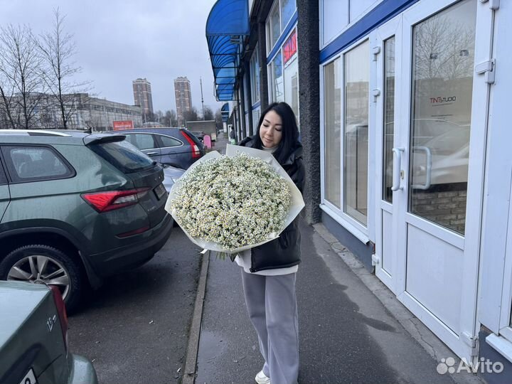 Полевой букет из ромашек 25,51,75,101 шт доставка