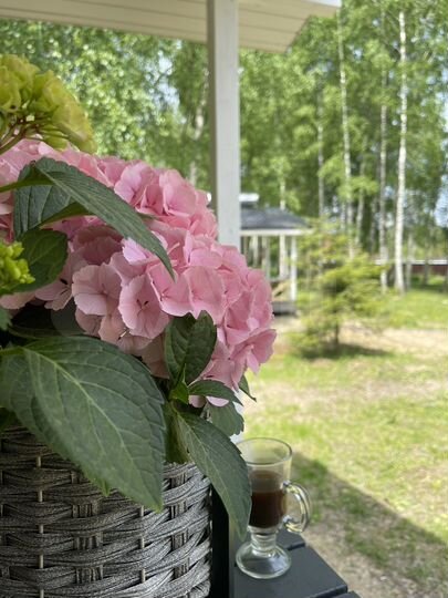 Дом 45 м² на участке 32 сот.