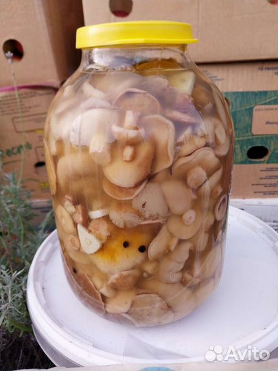 Грибы маринованные