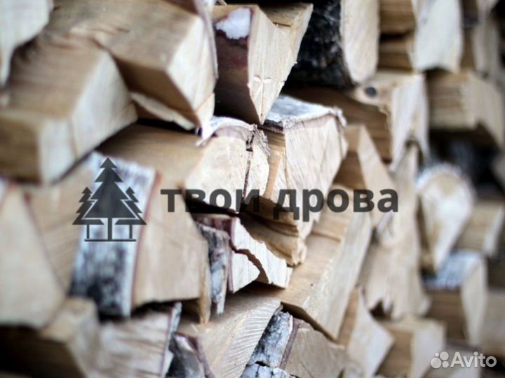Дрова колотые береза