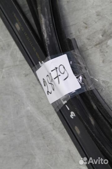 Уплотнитель стекла двери задней правой Ford Focus