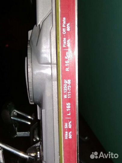 Горные лыжи