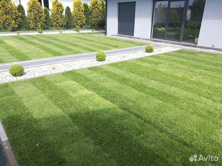 Газон, укладка рулонного газона