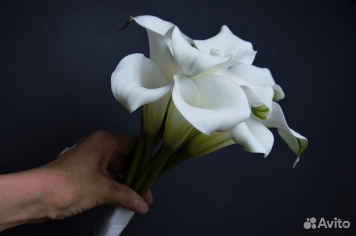 Каллы Букет невесты из калл