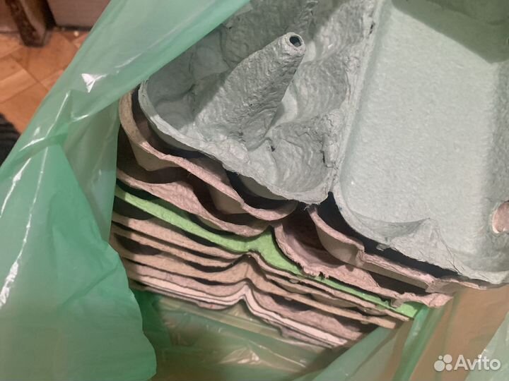 Лотки для яиц