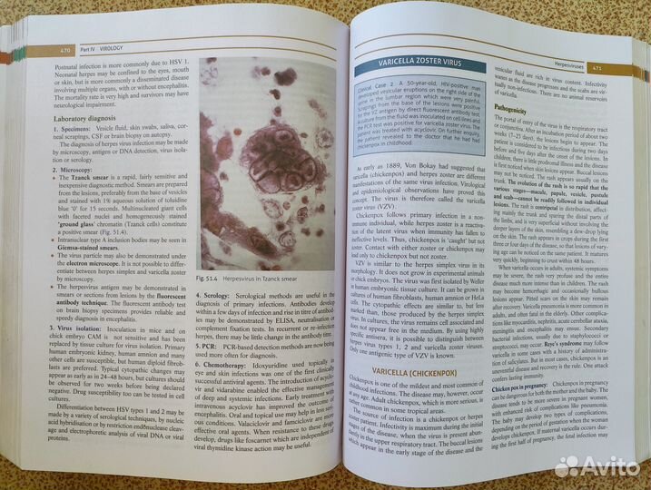 Medicine Books. Anatomy, Physiology, Microbiology