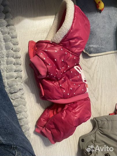 Одежда для маленьких собак или кошек