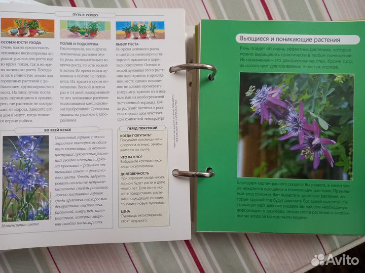 Журнал-книга. Цветы дома. Шаг за шагом