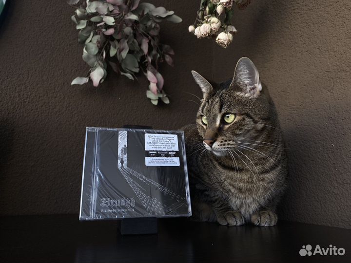 CD диски Black metal метал