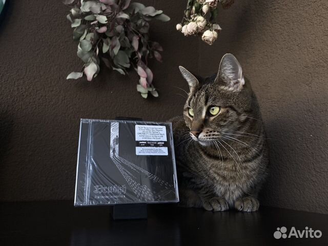 CD диски Black metal метал