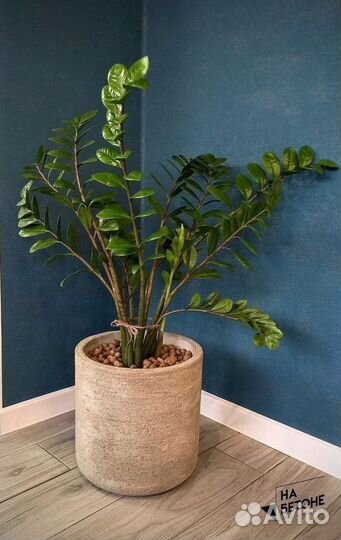 Кашпо, Вазоны, горшки для цветов