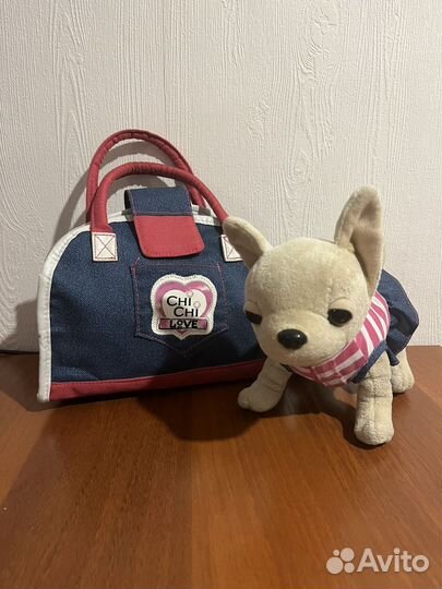 Чичилав собака в сумке