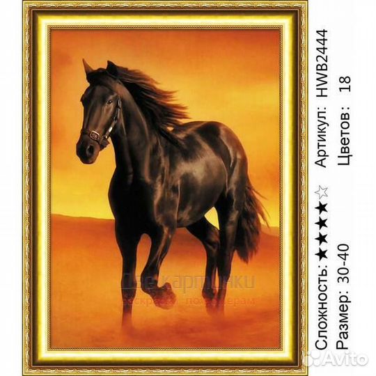 Алмазная мозаика 30x40 Чёрный большой конь в пусты