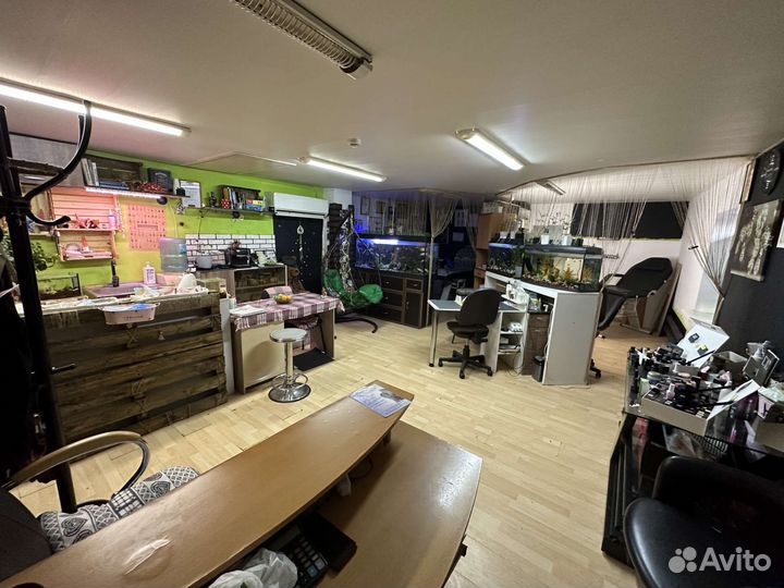 Аренда рабочего места в салоне красоты студии