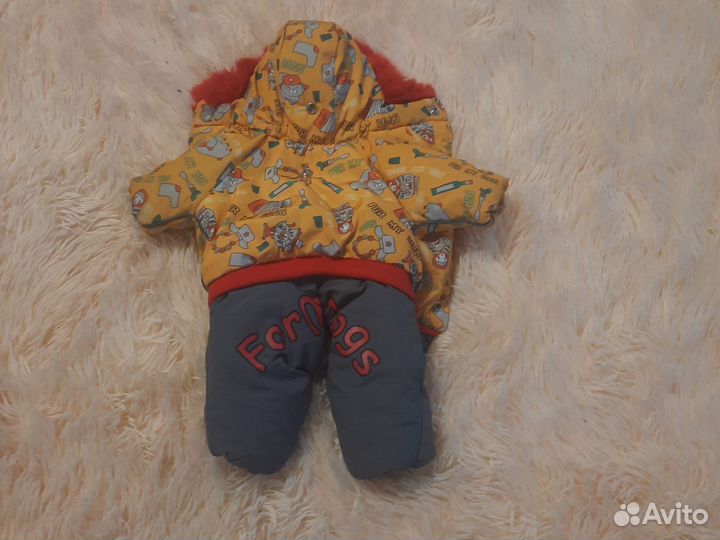 Одежда для маленьких собак