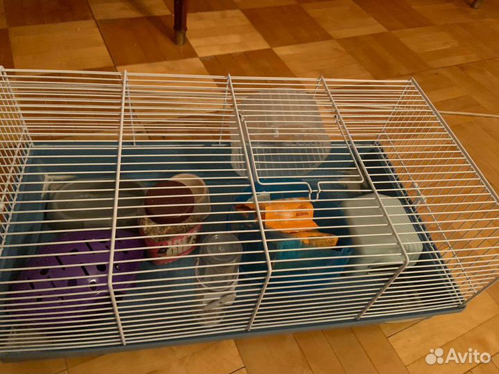 Шар-сфера для грызунов