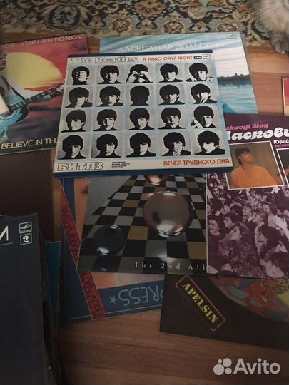 Виниловые пластинки