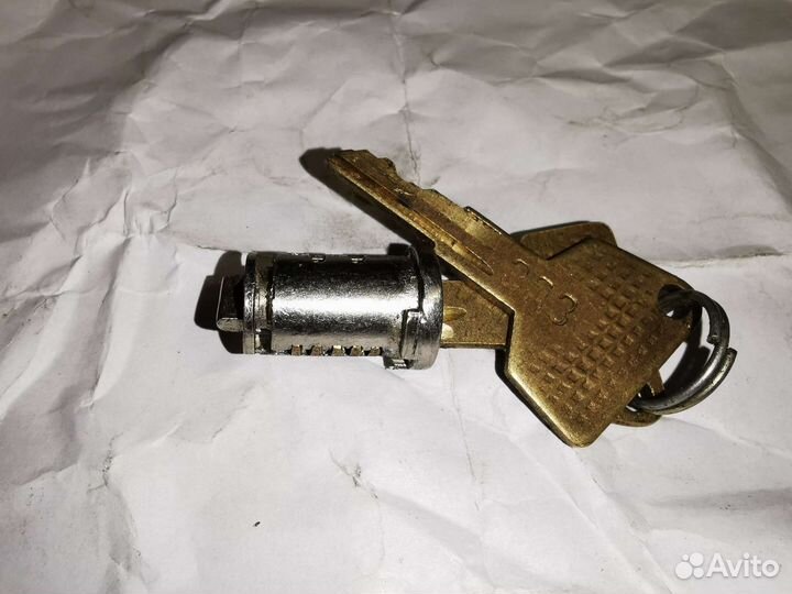 Личинка замка заз