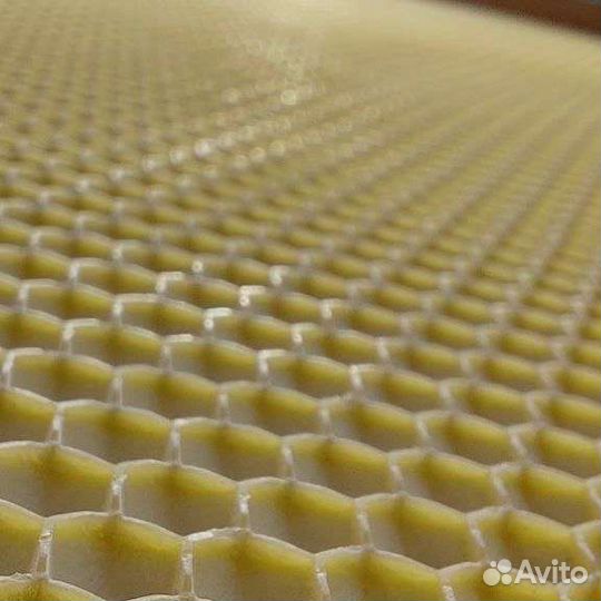 Восковая моль / пжвм